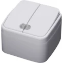 Выключатель двухклавишный с индикатором, 250В, 10А, серия Basic, PSW10-32-20, белый STEKKER 39030