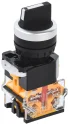 Переключатель D8-11X22 2 полож. 1з+1р черный IEK BSW30-11X22-3-24-2-K02