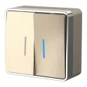 Выключатель двухклавишный с подсветкой Gallant (шампань рифленый) W5020110 Werkel a051043