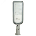 Уличный светодиодный светильник 100W 100-265V/50Hz цвет серый (IP65), SP3060 Feron 48687