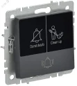 BRITE Кнопка звонка с индикацией для отелей 10А ВС10-1-9-БрГ графит IEK BR-V14-2-10-K53