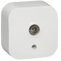 Розетка телевизионная Quteo белая Legrand 782215