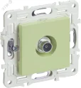 SKANDY Розетка TV оконечная SK-A12G мятный IEK SK-A10-O-K06