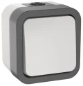 TORS Выключатель двухполюсный одноклавишный 10А IP55 TS211 серо-белый IEK TS-V16-0-10-55-K41