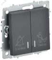 BRITE Выключатель 2-клавишный с индикацией для отелей 10А ВС10-2-9-БрГ графит IEK BR-V20-2-10-K53