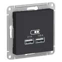 Розетка 2xUSB, карбон Systeme Electric ATN001033