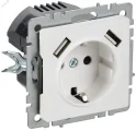 BRITE Розетка 1-местная с заземлением с защитными шторками 16А с USB A+A 5В 3,1А РЮш10-2-БрАБ арктич