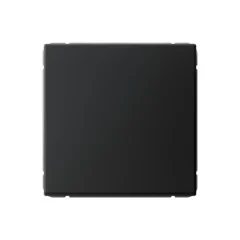 ARTGALLERY 1-клавишный ВЫКЛЮЧАТЕЛЬ, сх.1, 10АХ, КАРБОН Systeme Electric GAL001011