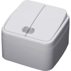 Выключатель двухклавишный с индикатором, 250В, 10А, серия Basic, PSW10-32-20, белый STEKKER 39030