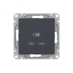 Механизм розетки USB-C - 2шт графит Эпика EKF UP1-SOG-2USBC