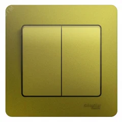 GLOSSA Выключатель двухклавишный в сборе схема 5 фисташковый Systeme Electric GSL001052