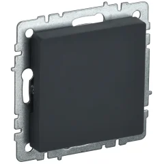 BRITE Заглушка c суппортом МЗ10-БрГ граф. IEK BR-PL10-K53