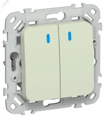 FLITE Выключатель 2-клавишный с индикацией 10А ВС12-1-1-ФлП панг IEK FI-V20-1-10-1-K92