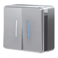 Выключатель двухклавишный с подсветкой Gallant (серебряный) W5020106 Werkel a052770