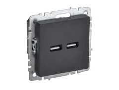 BRITE Роз. USB A+A 3,1А РЮ10-1-БрЧ черн. IEK BR-U21-D31-K02