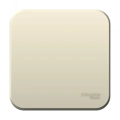 BLANCA одноклавишный выключатель наружный (cх.1), 6а, 250в, молочный Systeme Electric BLNVA061002