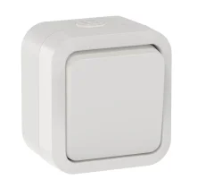 TORS Выключатель двухполюсный одноклавишный 10А IP55 TS311 белый IEK TS-V16-0-10-55-K01