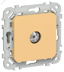 FLITE Розетка TV экранированная проходная тип M РТВм-1-1-2-ФлЗ золотарник IEK FI-A13-P-K90