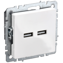 BRITE Роз. USB A+A 3,1А РЮ10-1-БрБ бел. IEK BR-U21-D31-K01