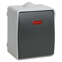 FORS Выключатель 1-клавишный проходной с индикацией для открытой установки 10А IP54 ВС20-1-1-ФСр сер