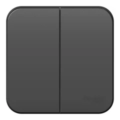 BLANCA О/У 2-клавишный ВЫКЛЮЧАТЕЛЬ (сх.5) ИЗОЛ.ПЛ., 10А, 250В, АНТРАЦИТ Systeme Electric BLNVA105016