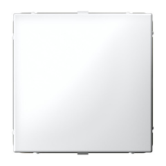 ARTGALLERY ЗАГЛУШКА без суппорта для многопостовых рамок, БЕЛЫЙ Systeme Electric GAL000109