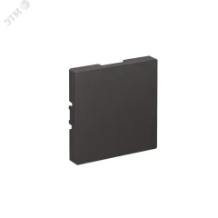 ATLASDESIGN ЗАГЛУШКА без суппорта для многопостовых рамок, БАЗАЛЬТ Systeme Electric ATN001409