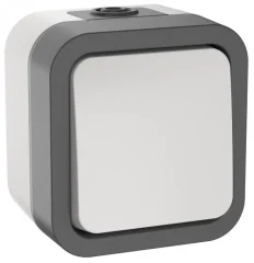 TORS Выключатель двухполюсный одноклавишный 10А IP55 TS211 серо-белый IEK TS-V16-0-10-55-K41