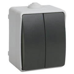 FORS Выключатель 2-клавишный для открытой установки 10А IP54 ВС20-2-0-ФСр серый EVS20-K03-10-54- IEK