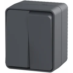 AtlasDesign PROFI IP54 О/У 2-клавишный ВЫКЛЮЧАТЕЛЬ 10 АХ, АНТРАЦИТ Systeme Electric ATN544051