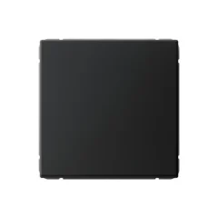 ARTGALLERY 1-клавишный ПЕРЕКЛЮЧАТЕЛЬ, сх.6, 10АХ, механизм, КАРБОН Systeme Electric GAL001061