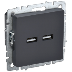 BRITE Роз. USB A+A 3,1А РЮ10-1-БрГ граф. IEK BR-U21-D31-K53