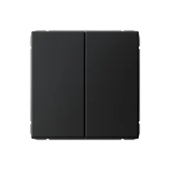 ARTGALLERY 2-клавишный ВЫКЛЮЧАТЕЛЬ, сх.5, 10АХ, механизм, КАРБОН Systeme Electric GAL001051