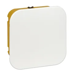 Коробка распределительная для полых стен 100х100х50мм IP20 Systeme Electric IMT35161