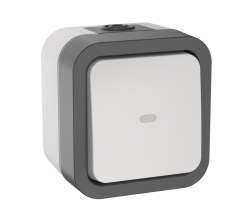 TORS Переключатель одноклавишный с индикацией 10А IP55 TS202 серо-белый IEK TS-V10-1-10-55-K41