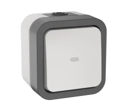 TORS Переключатель одноклавишный с индикацией 10А IP55 TS202 серо-белый IEK TS-V10-1-10-55-K41