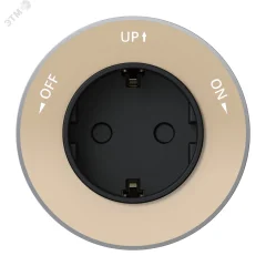 MultiTrack Розетка 2К+З круглая 16А/250В Песочный Systeme Electric MTK13001P