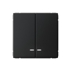 ARTGALLERY 2-клавишный ВЫКЛЮЧАТЕЛЬ с подсветкой, сх.5а, 10АХ, механизм, КАРБОН GAL0 Systeme Electric