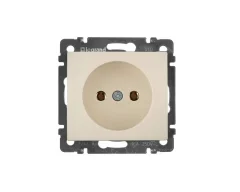 Розетка СП 1-м механизм (сл. кость) Valena Legrand 774316