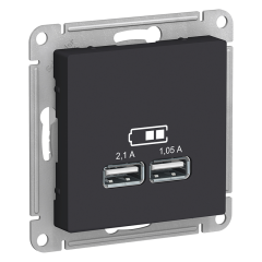 Розетка 2xUSB, карбон Systeme Electric ATN001033