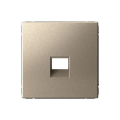 ARTGALLERY НАКЛАДКА для информационных функций типа Keystone, ШАМПАНЬ Systeme Electric GAL000584