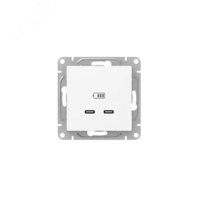 Эпика Механизм розетки USB-C - 2шт белый EKF UP1-SOW-2USBC фото 1