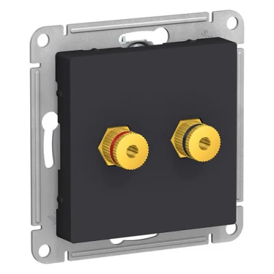 ALASDESIGN АУДИОРОЗЕТКА двойная, КАРБОН Systeme Electric ATN001087 фото 1