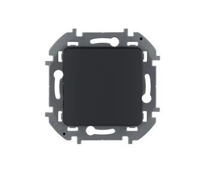 Выключатель одноклавишный - INSPIRIA - 10 AX - 250 В~ - антрацитВыключатель одноклавишный - INSPIRIA фото 1