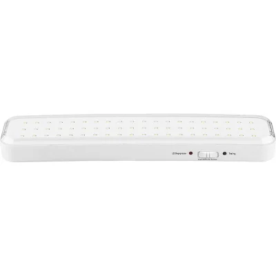 Светильник аккумуляторный, 60LED AC/DC, белый, EL121 Feron 12671 фото 1