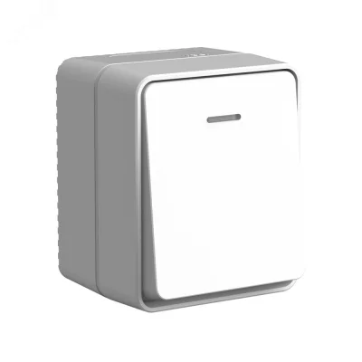 AtlasDesign PROFI IP54 открытой установки 1-клавишный выключатель с подсветкой 10 АХ, серый Systeme  фото 1