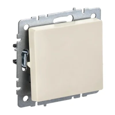 BRITE Выключ. 1-кл. прох. 10А ВС10-1-6-БрКр беж. IEK BR-V12-0-10-K10 фото 1