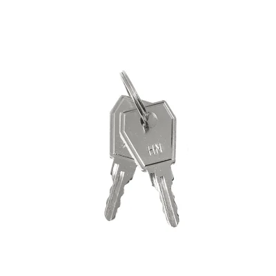 Ключ для пластикового замка к ЩРН (арт. lock-shrn-ip31) PROxima EKF key-4 фото 1