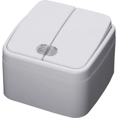 Выключатель двухклавишный с индикатором, 250В, 10А, серия Basic, PSW10-32-20, белый STEKKER 39030 фото 1