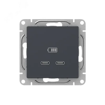 Механизм розетки USB-C - 2шт графит Эпика EKF UP1-SOG-2USBC фото 1